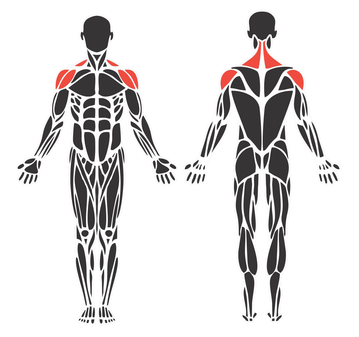Desenvolvimento de Ombro Articulado